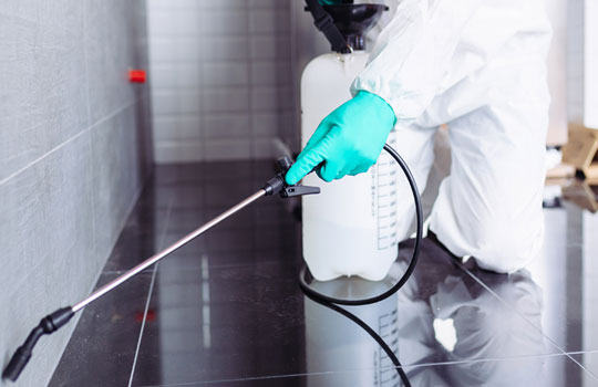 commercial pest control services